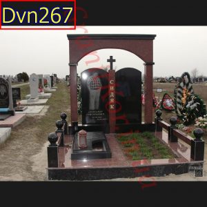 Dvn