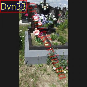 Dvn