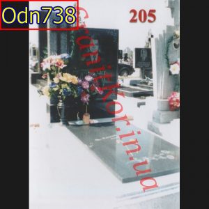 Odn